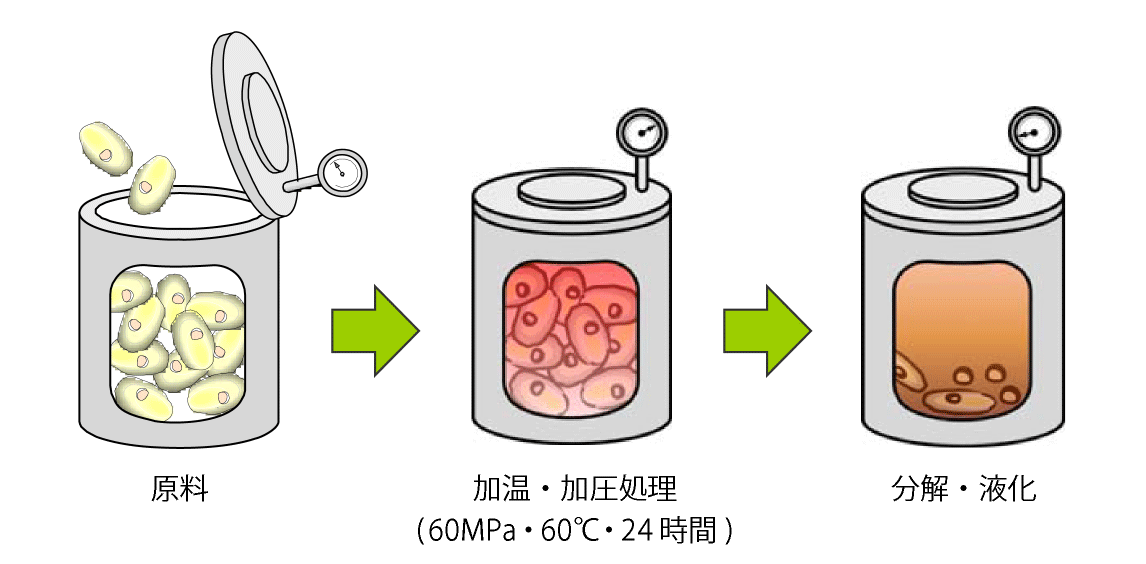 原料（牡蠣）のエキス化までの流れ