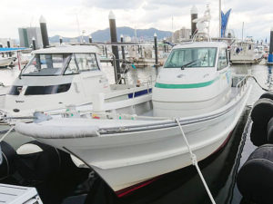 ヤンマー シャフト船 DE34BF(EX29キャビン) 6LY2-ST H22年式 の写真1枚目