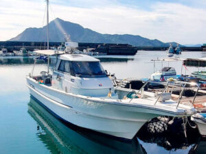 ヤンマー シャフト船(Vドラ仕様) EX38V 6LY2-STV H13年式 の写真1枚目