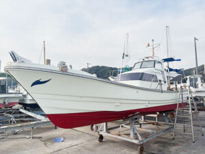 ヤンマー 中古艇 DE28 左舷側全体